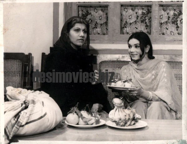 Bahar & Najma - Lollywood Stars