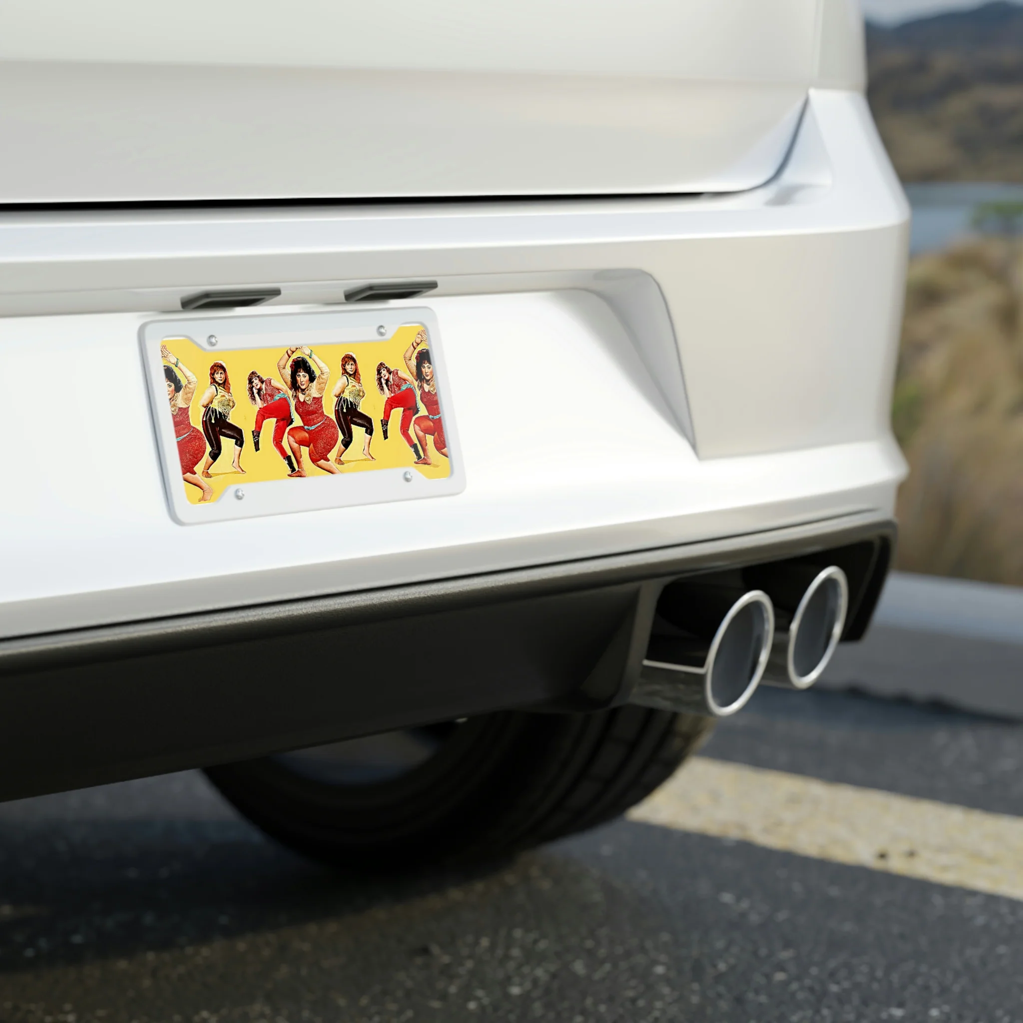 Pashto Chubs License Plate - Image 3