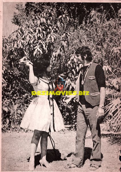 Lollywood Stars