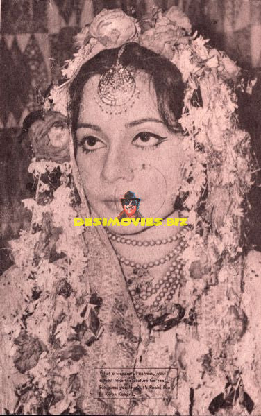 Lollywood Stars