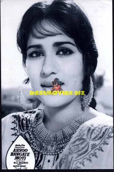 Lollywood Stars