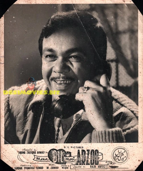 Mera Dil Meri Aarzoo (1970) Movie Stil