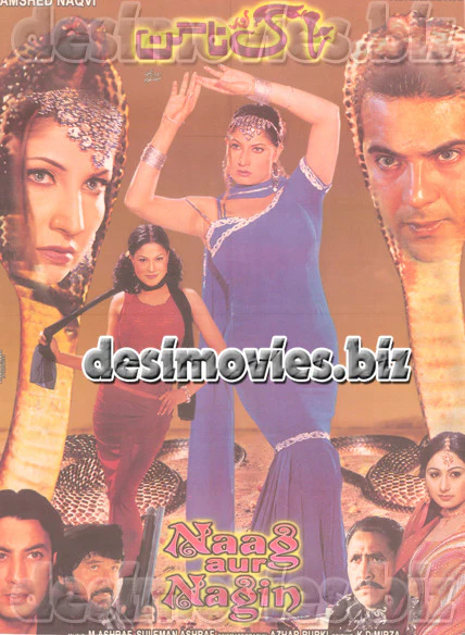 Naag or Nagin (2005) Lollywood Original Poster