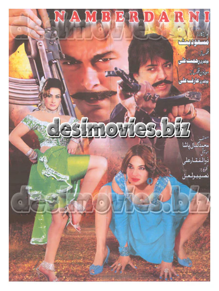 Namber Darni (2010) Lollywood Original Poster