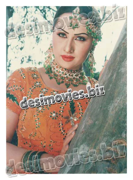 Nargis (1995-Present) Lollywood Star