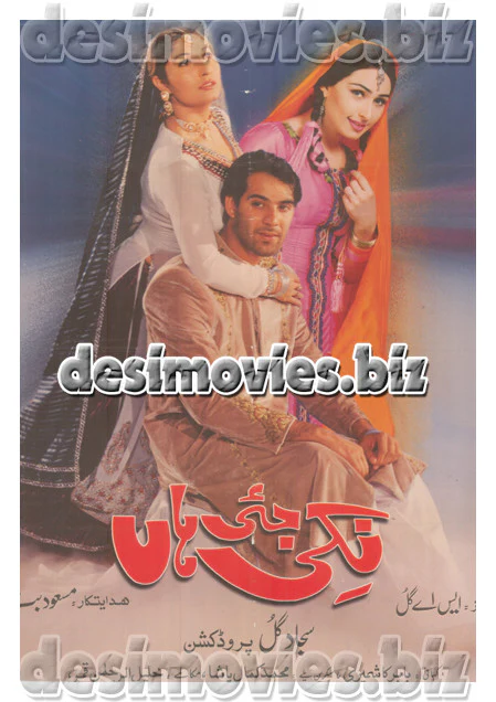 Nikki Jei Haan (1999) Lollywood Original Poster