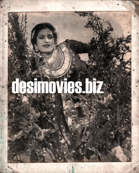 Yaaran Naal Baharan (1967) Original Booklet & Lobby Cards - Image 13