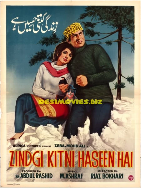 Zindagi Kitni Haseen Hai (1969) Poster